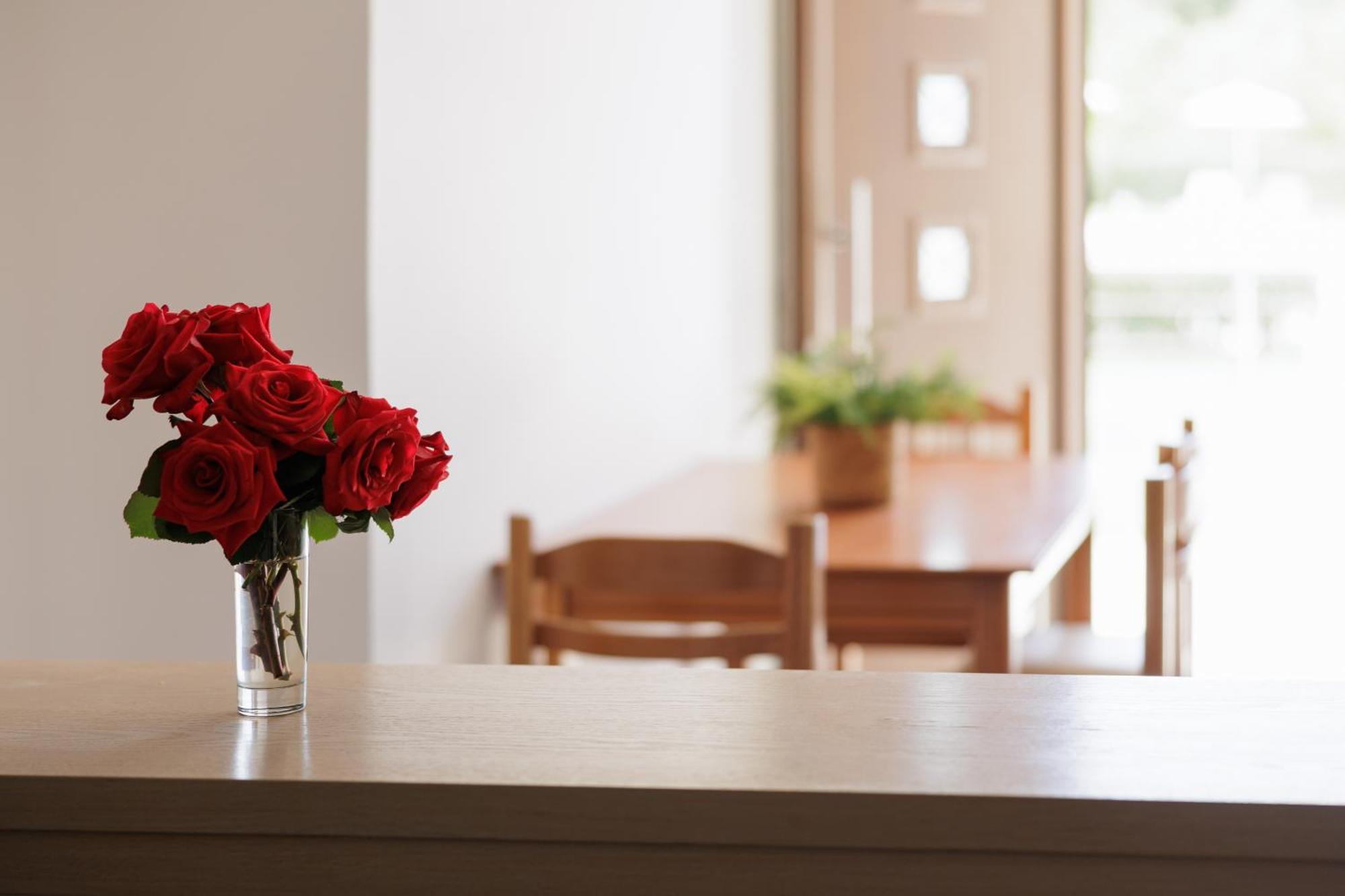 Santos Luxury Apartments Dassia  Room photo